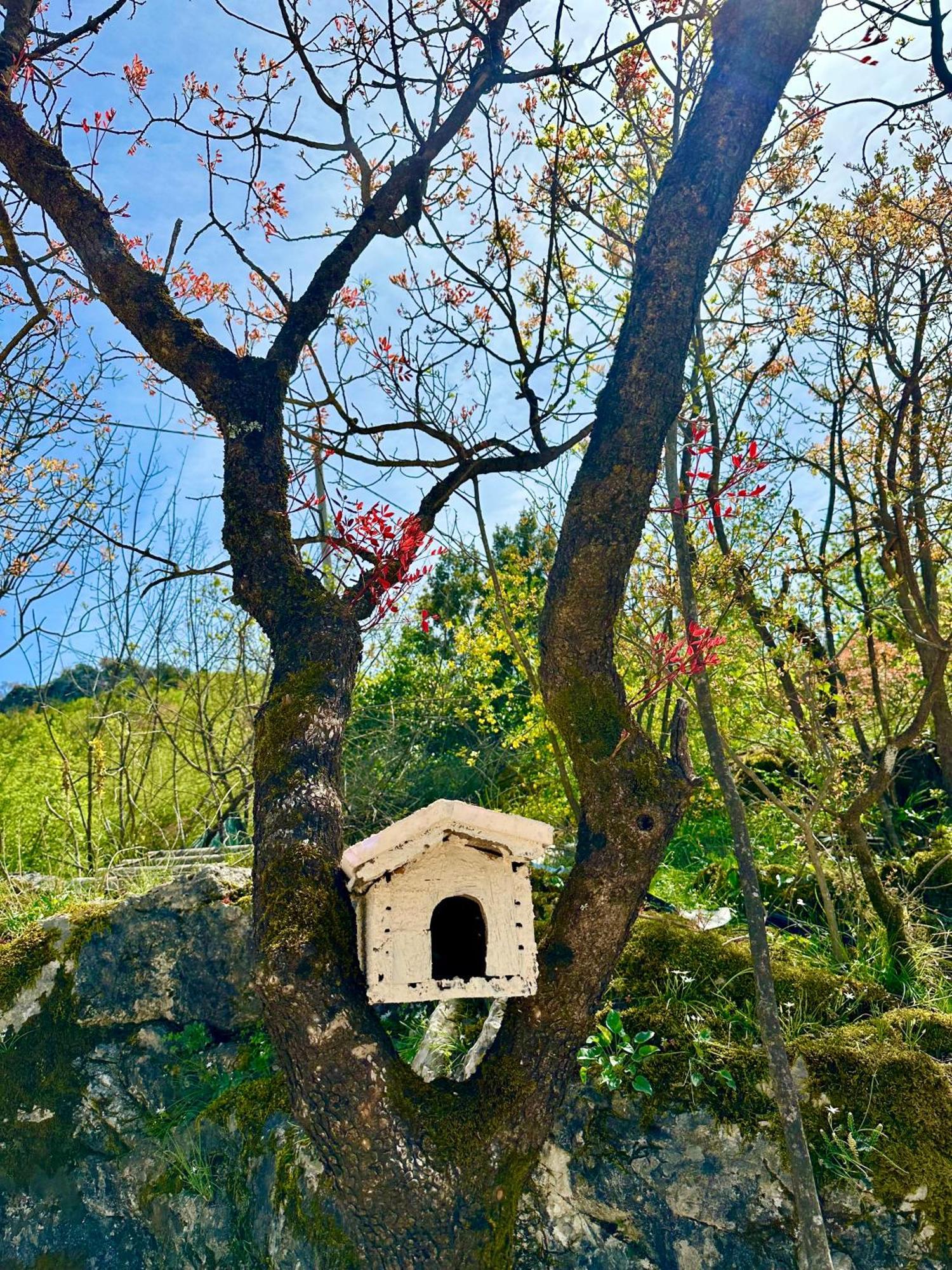 S&M Apartments Rijeka Crnojevića Dış mekan fotoğraf