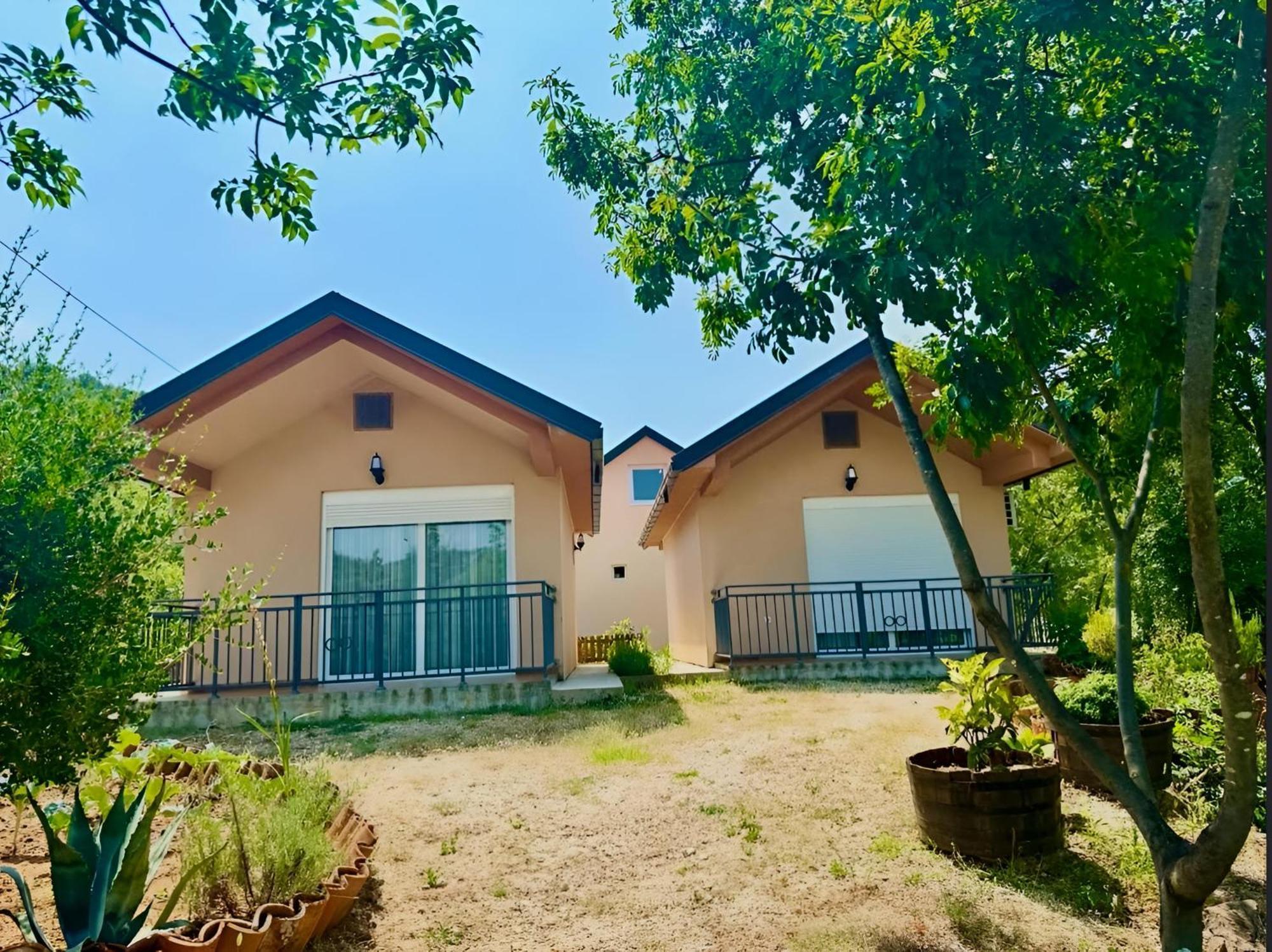 S&M Apartments Rijeka Crnojevića Dış mekan fotoğraf